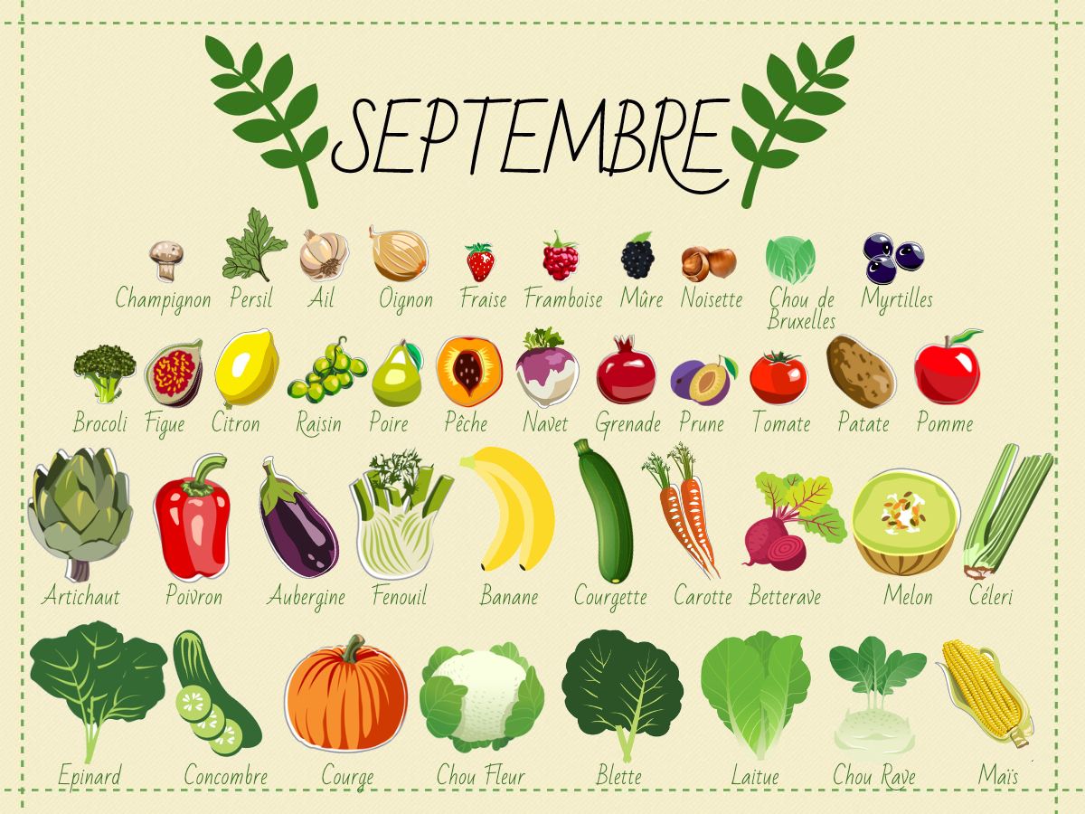 SEPTEMBRE